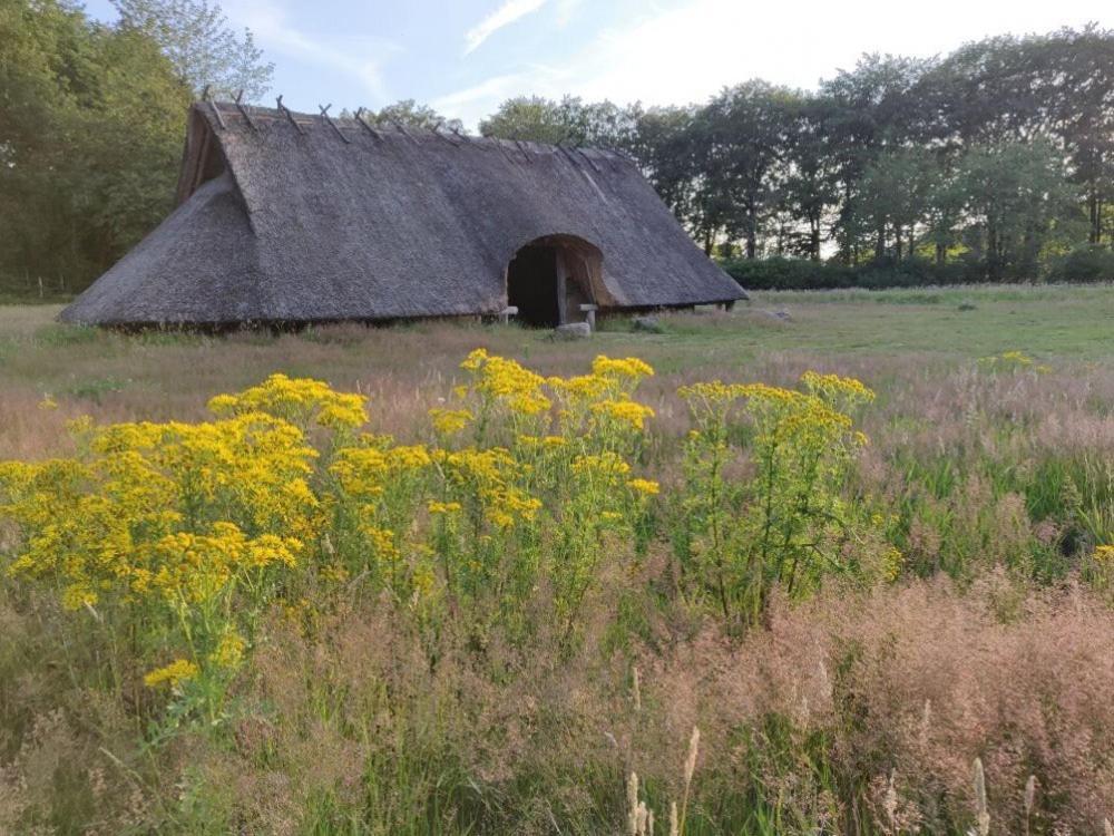 Villa Vakantie Op De Veluwe Lunteren Exterior foto