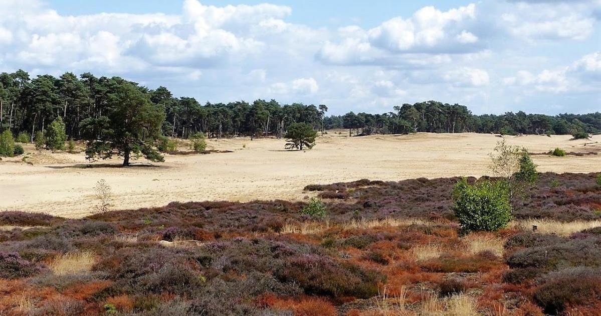 Villa Vakantie Op De Veluwe Lunteren Exterior foto